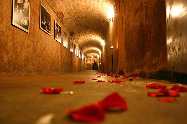 cellar, tunnel, rose